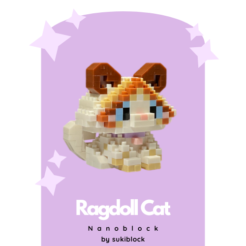 Ragdoll Cat - Image 3