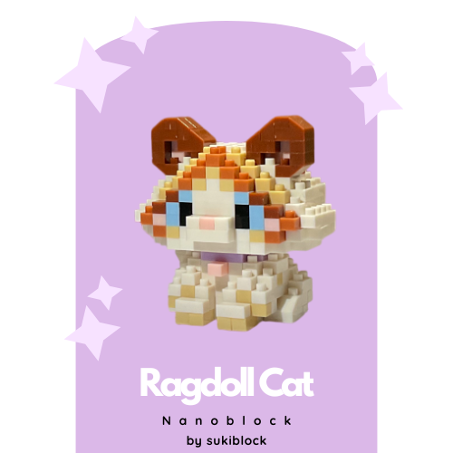 Ragdoll Cat - Image 2