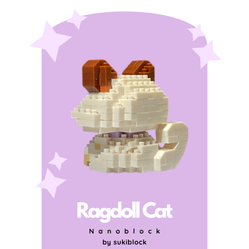 Ragdoll Cat - Image 5