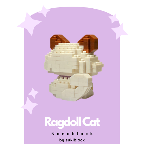 Ragdoll Cat - Image 4